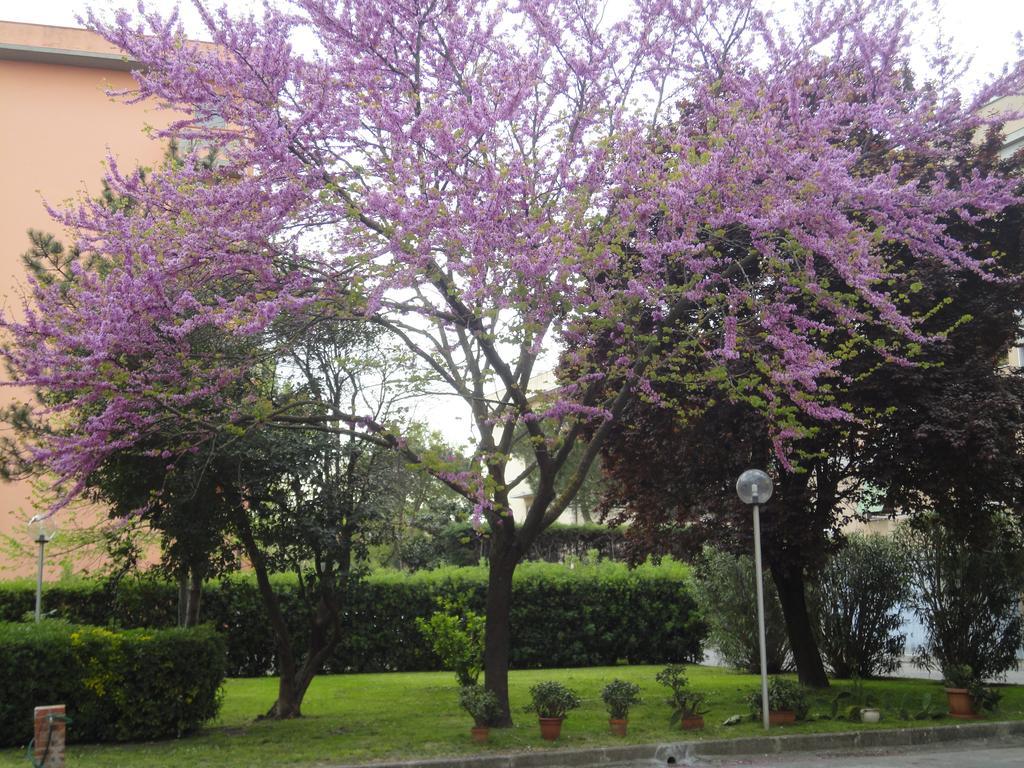 מלון פיזה Cisanello House מראה חיצוני תמונה
